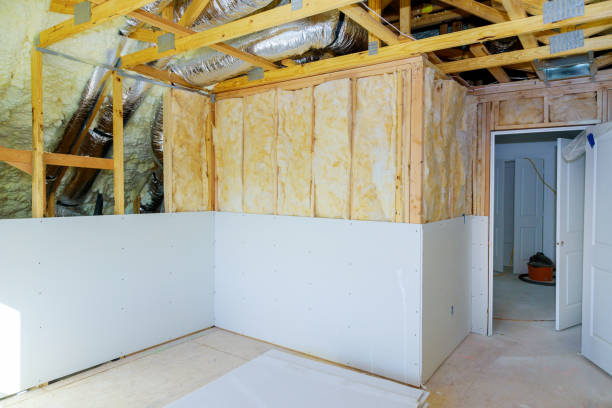 Best Insulation Repair Services  in Columbus, MT