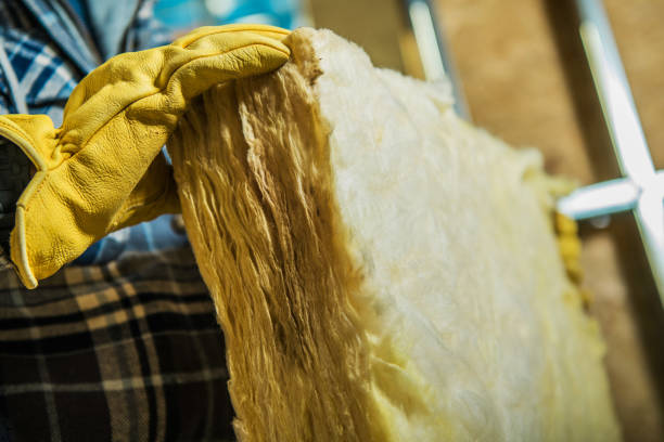Best Cellulose Insulation  in Columbus, MT